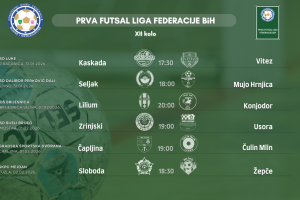 Održana 10. sjednica Izvršnog odbora NS FBiH